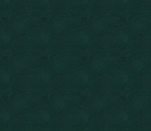 top_bg002